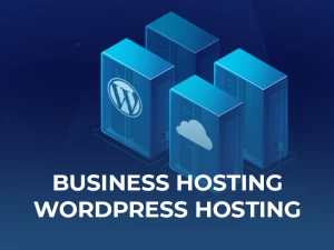 WordPress Hosting - all packages are designed to increase the speed