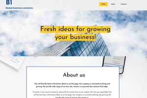B1 Global Business Solutions