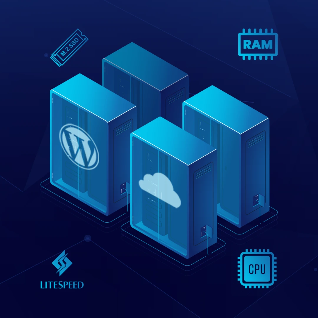 WordPress Hosting - all packages are designed to increase the speed